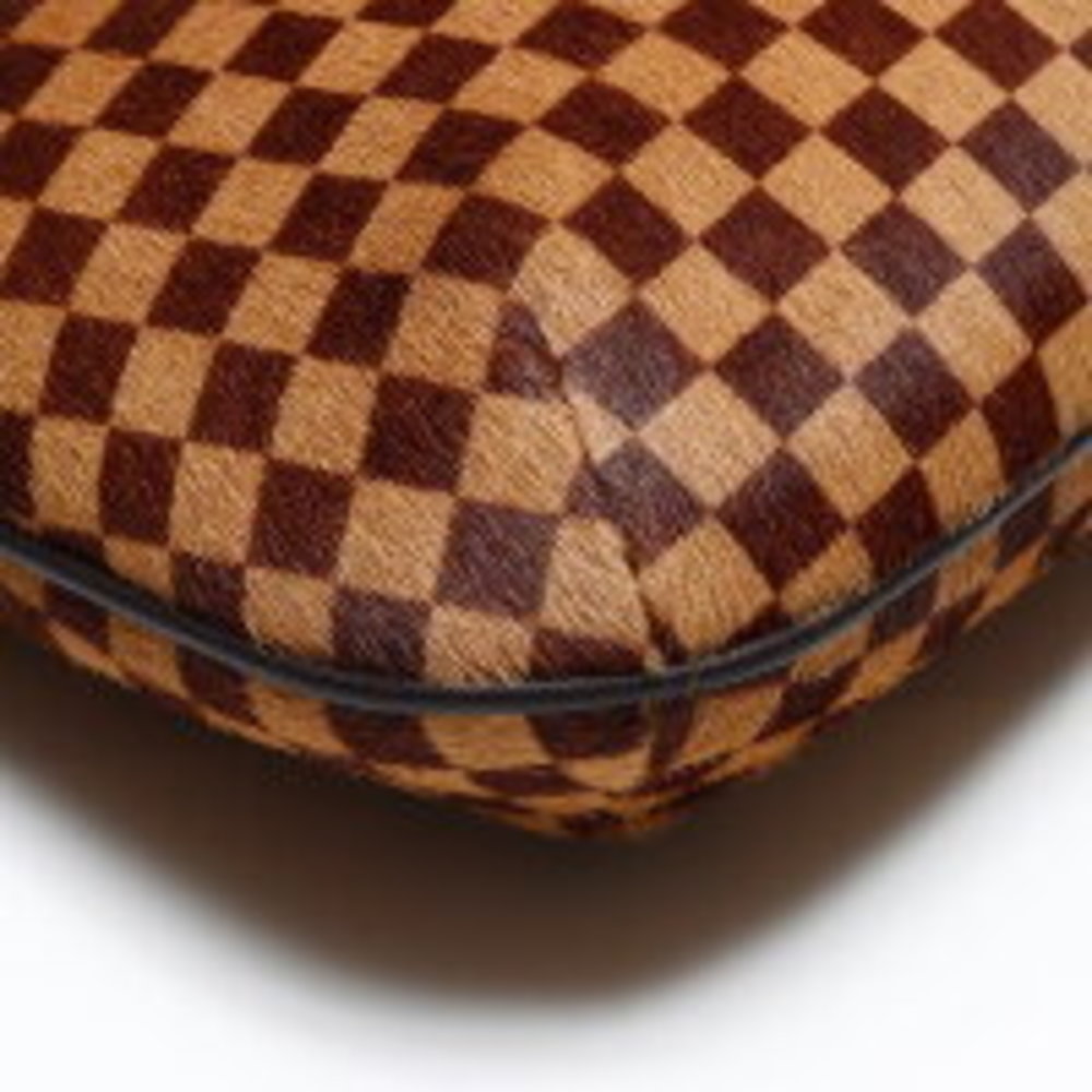 LOUIS VUITTON Damier Sauvage Tiger Handbag Brown - Picture 5 of 12